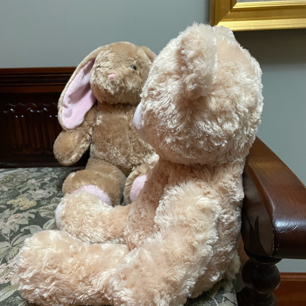 Build-A-Bear rabbit and bear set. - Picture 5 of 13